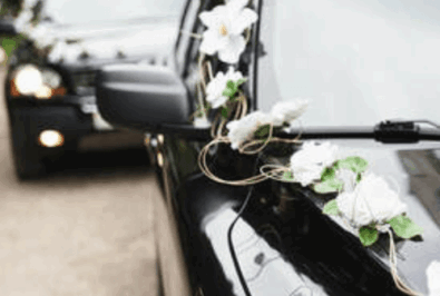 Black cars decorated with white flowers for a wedding.